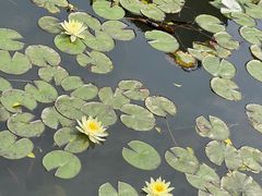 -星巴克(深圳前海企业公馆店)