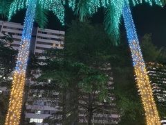 -金光华广场