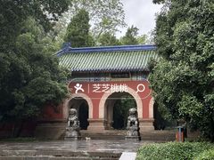 -灵谷景区