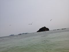-棒棰岛宾馆景区