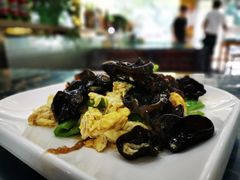 木耳炒鸡蛋-西北老马食府(陈家营西路店)