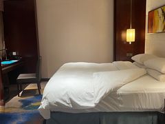 -常州环球恐龙城维景国际大酒店
