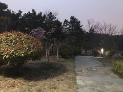 -浮山香苑