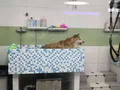 -全心全意动物诊疗中心医院(北苑店)
