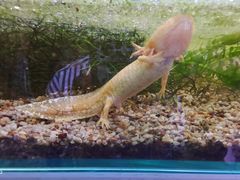 -上海大自然野生昆虫馆