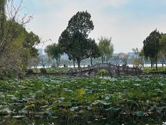 -无锡蠡湖国家湿地公园-蠡园