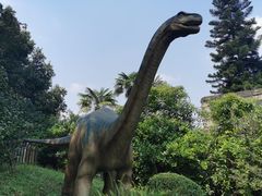 -自贡恐龙博物馆