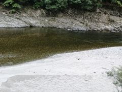 -黑河国家森林公园