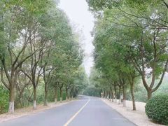 -天目湖涵田半山温泉