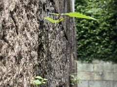 -宁波市保国寺古建筑博物馆