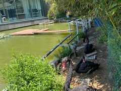 -春晖园度假酒店温泉