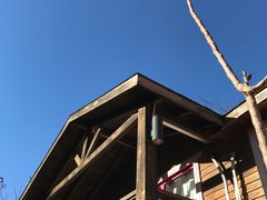 -Local泰莲庭(虹鳟鱼店)