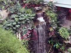-白天鹅宾馆-宏图府餐厅