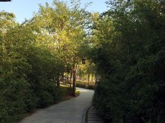 -西安汉城湖景区