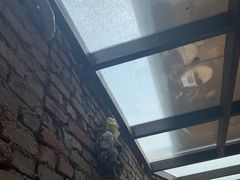 -VOYAGE COFFEE(北锣鼓巷店)