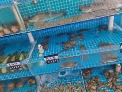 -聚德福海鲜家常菜(刘庄店)