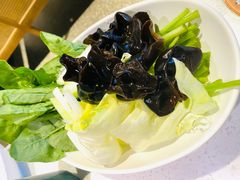 自助涮菜-新辣道鱼火锅(西直门店)