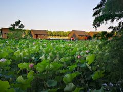 -太湖湾开元名庭大酒店