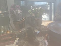 -慢丽江·云南野生菌土鸡锅(西山店)
