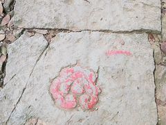 -西湖风景区十里琅珰-五云山