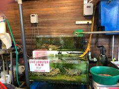 -真浪花园海鲜餐馆