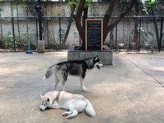 -TrueLove @ Neverland (Husky Cafe)