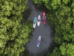-动邦皮划艇·桨板·独木舟·团建户外运动俱乐部