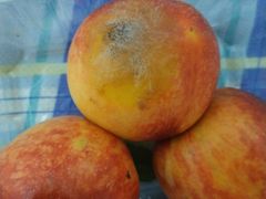 -大润发(梅兰东路店)