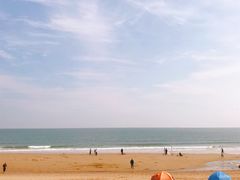 -日照海滨国家森林公园