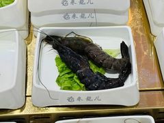 -来龍儿鲜切牛肉自助老火锅