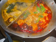 台式麻辣花胶鸡鸳鸯锅-湊湊火锅·茶憩(世博大道店)
