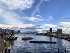 -香港皇家太平洋酒店