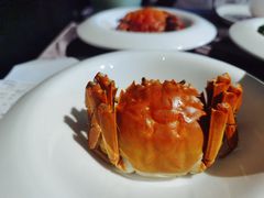 清蒸大闸蟹-蟹榭·本帮江浙菜·蟹宴(五角场合生汇商场店)