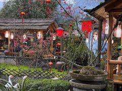 -青城甲(青城山店)