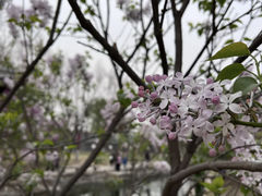 -三里河公园