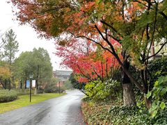 -茅山东方盐湖城景区
