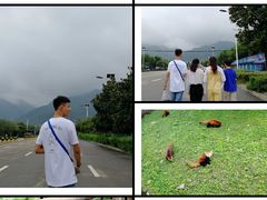 -西安秦岭野生动物园