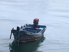 -海源公园