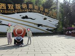 -西双版纳原始森林公园