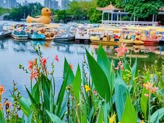 -荔枝公园(福田区)