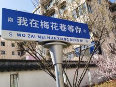 -上海浦东新区民办小白鸽幼儿园