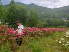 -镇坪县曙坪小学