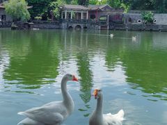 -东莞市可园博物馆