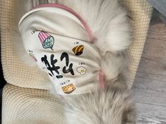 -小时光咖啡馆(北锣鼓巷店)
