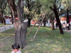 -北京国子监胡同
