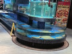 -海派美食·家宴海鲜青岛菜·石锅鲽鱼头(东方城店)