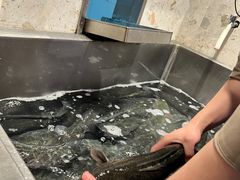 -周渝食惦酸菜鱼(青浦店)