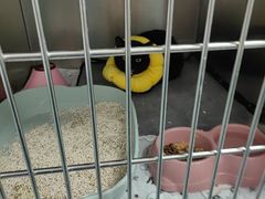 -嘉馨宠物医院·CT影像转诊·心脏科·犬猫全科诊疗中心(下沙大学城院区)