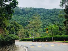 -火炉山森林公园