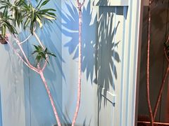 -南堂馆·新川菜(春熙路店)